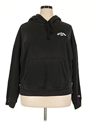 Champion Pullover Hoodie (view 1)