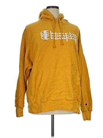 Champion Pullover Hoodie (view 1)