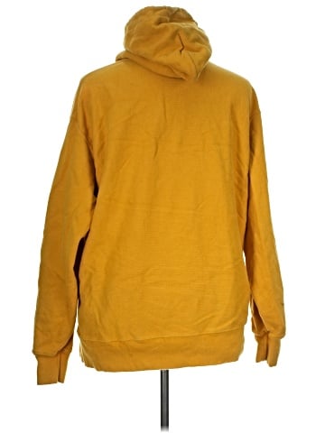 Champion Pullover Hoodie (view 2)