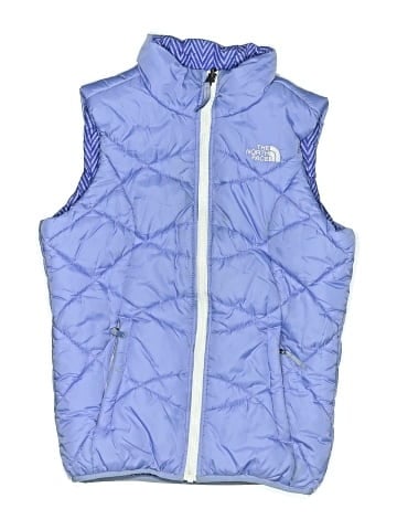The North Face Vest (view 1)