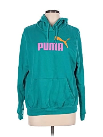 Puma Pullover Hoodie (view 1)