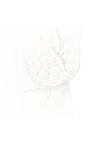 Cat & Jack Sleeveless T-Shirt (view 2)
