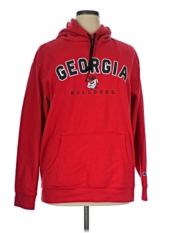 Champion Pullover Hoodie (view 1)