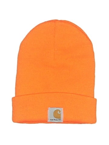 Carhartt Beanie (view 1)