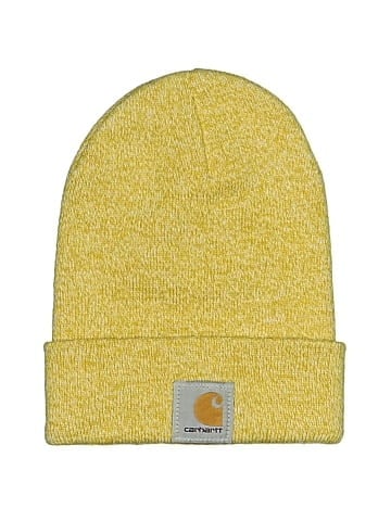 Carhartt Beanie (view 1)