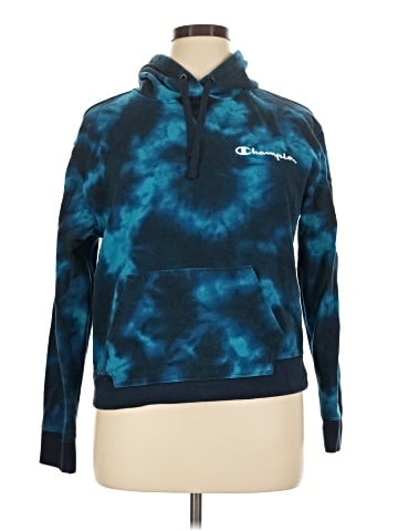Champion Pullover Hoodie (view 1)