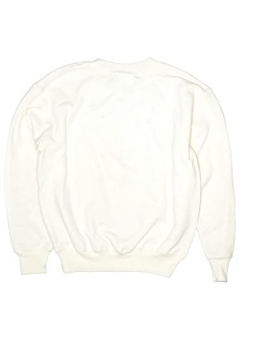 Hanes Sweatshirt (view 2)