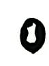 Celeste Black Scarf One size - photo 1