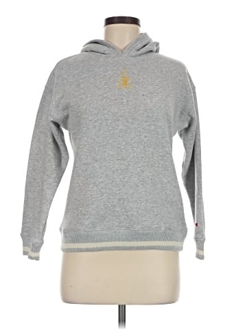 Champion Sweatshirt (view 1)