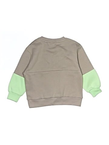 Baker by Ted Baker Sweatshirt (view 2)