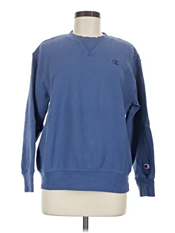 Champion Sweatshirt (view 1)