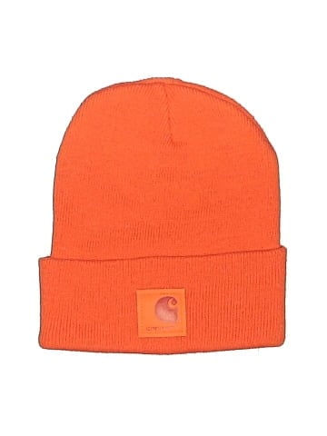 Carhartt Beanie (view 1)