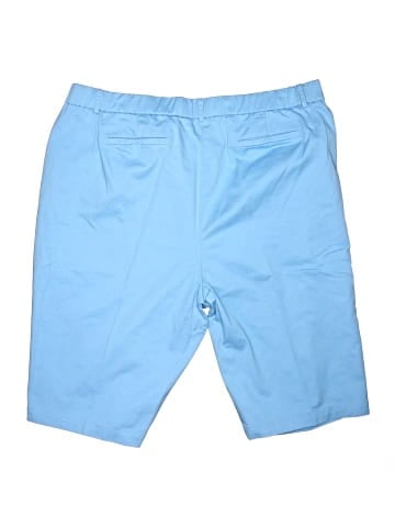 Briggs New York Shorts (view 2)