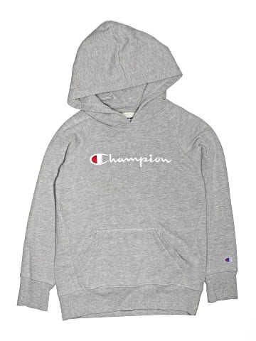 Champion Pullover Hoodie (view 1)