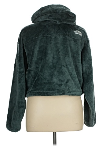 The North Face Pullover Hoodie (view 2)