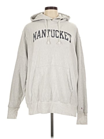 Champion Pullover Hoodie (view 1)