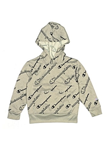 Champion Pullover Hoodie (view 1)
