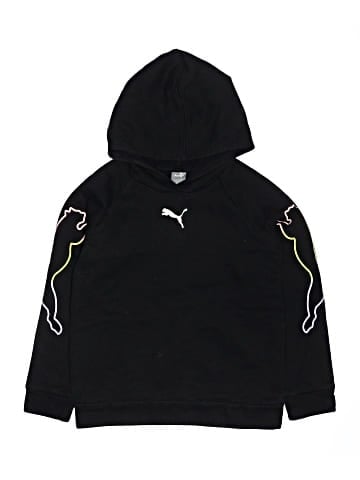 Puma Pullover Hoodie (view 1)