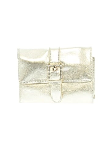 Express Wallet (view 1)