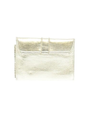 Express Wallet (view 2)