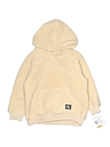 CALVIN KLEIN JEANS Pullover Hoodie (view 1)