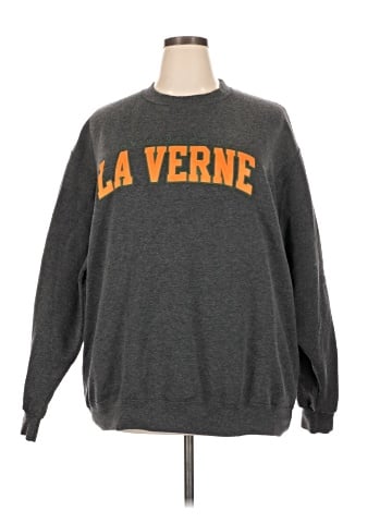 Champion Sweatshirt (view 1)