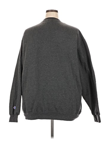 Champion Sweatshirt (view 2)