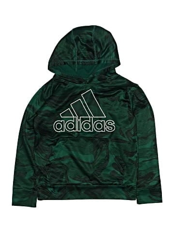 Adidas Pullover Hoodie (view 1)