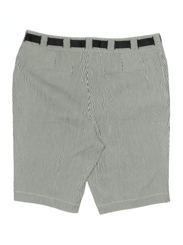 INC International Concepts Shorts (view 2)