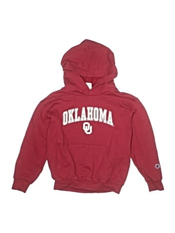 Champion Pullover Hoodie (view 1)