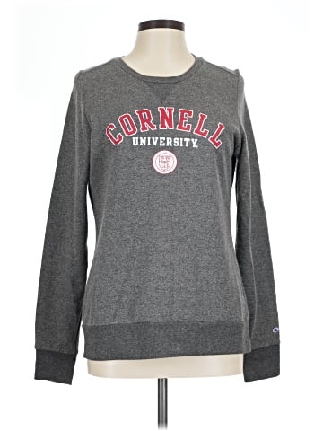 Champion Sweatshirt (view 1)