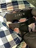 J.Crew Checkered-gingham Gray Long Sleeve Button-Down Shirt Size 0 (petite) - photo 7