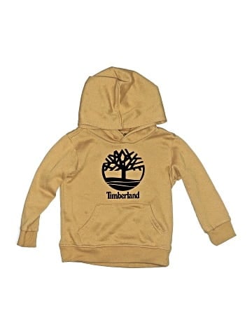 Timberland Pullover Hoodie (view 1)