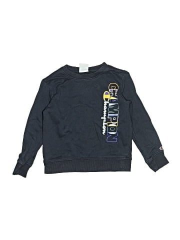 Champion Sweatshirt (view 1)