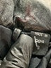 Assorted Brands 100% Leather Black Trenchcoat Size S - photo 8
