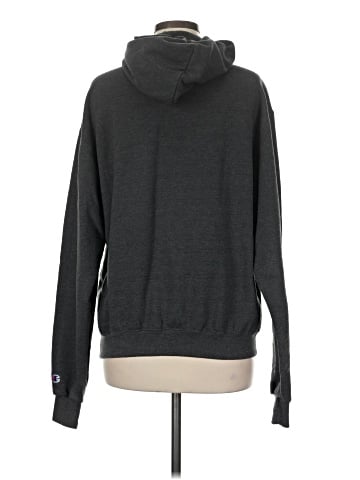 Champion Sweatshirt (view 2)