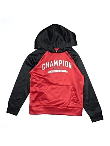 Champion Zip Up Hoodie (view 1)