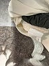 Zara Basic Ivory Sleeveless Blouse Size M - photo 8