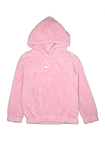 Puma Pullover Hoodie (view 1)