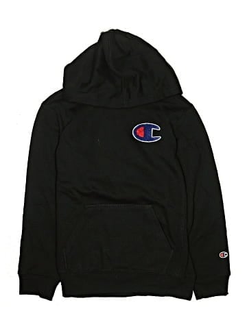 Champion Pullover Hoodie (view 1)