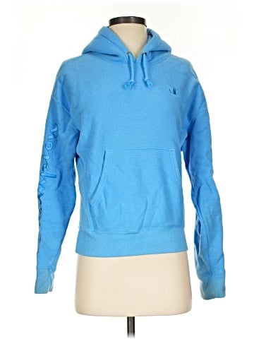 Champion Pullover Hoodie (view 1)