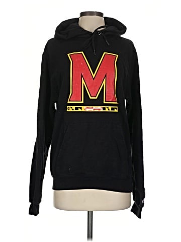 Champion Pullover Hoodie (view 1)