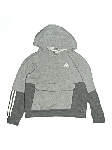 Adidas Pullover Hoodie (view 1)