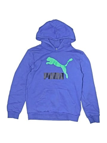 Puma Pullover Hoodie (view 1)