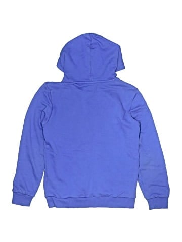 Puma Pullover Hoodie (view 2)