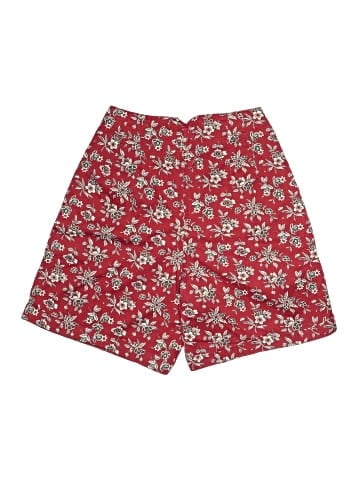The Limited Shorts (view 2)