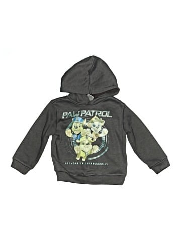 Nickelodeon Pullover Hoodie (view 1)