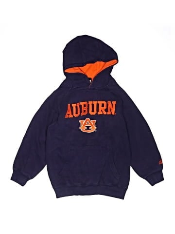 Adidas Pullover Hoodie (view 1)