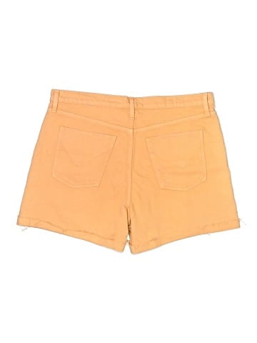 Hudson Jeans Shorts (view 2)