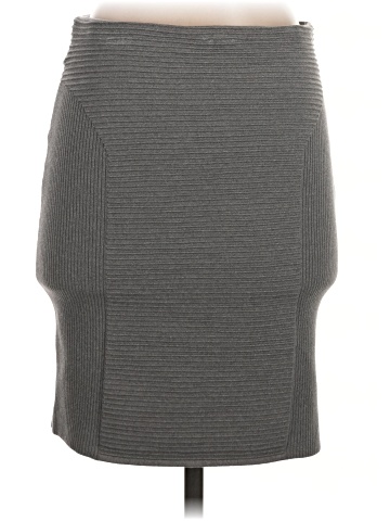 Express Casual Skirt (view 2)